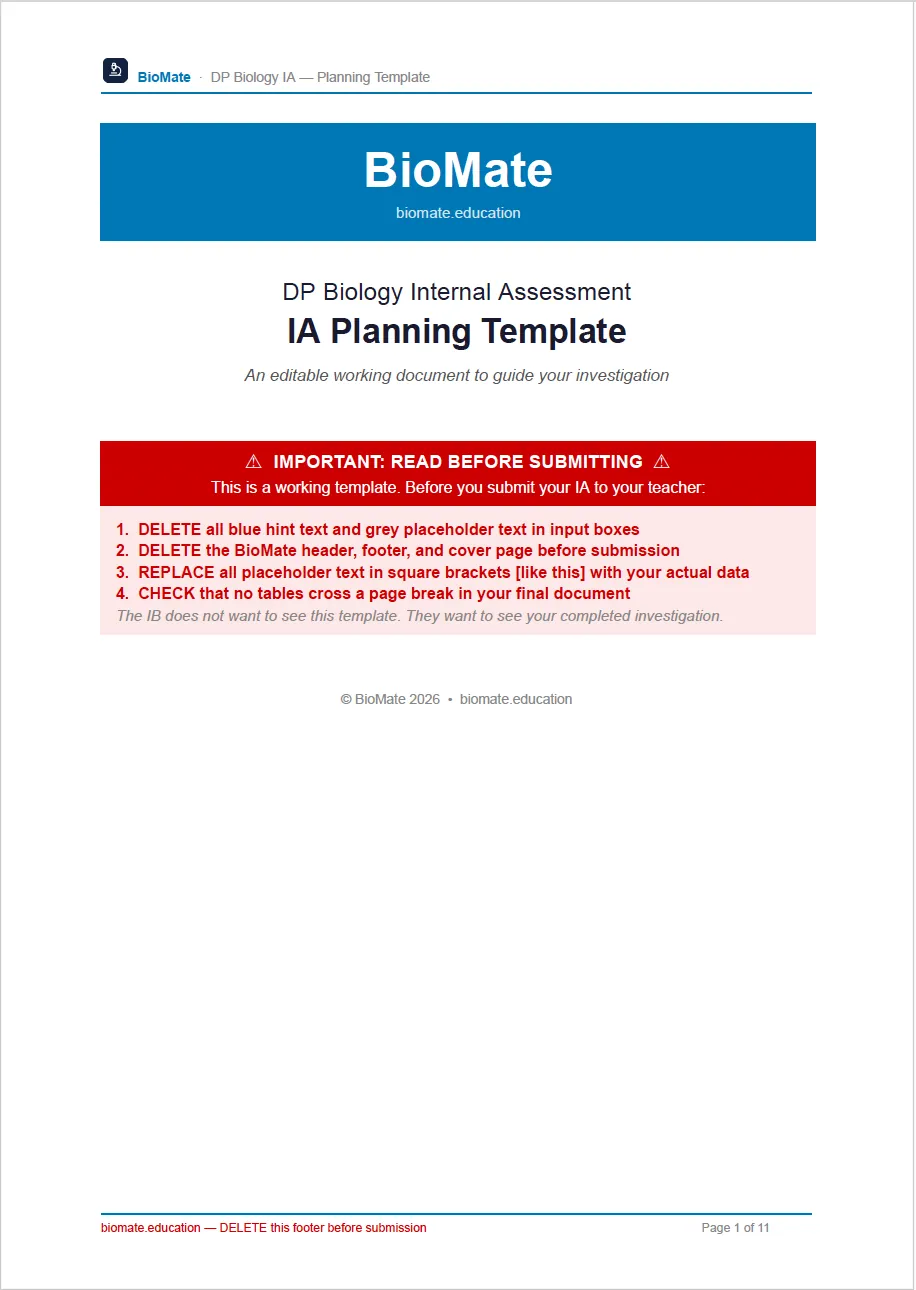 IA Planning Template cover